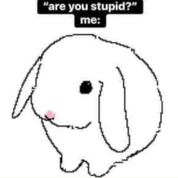 ꒰ᐢ. .ᐢ꒱