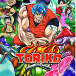 Toriko Bizarre Adventure