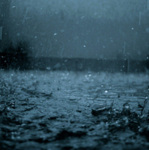 When The Rain Falls