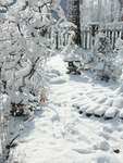 |The Winter's Family|