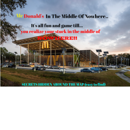 Go To McDonalds In The Middle Of Nowhere...