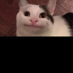 Test Build)My Start 2