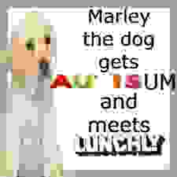Marley the dog gets Autism and meets lunchly