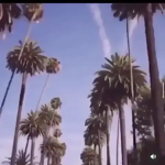 s h e y l a