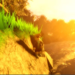 The forest