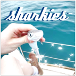 sharkies-