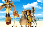 The Wild Animals From The Jungle