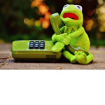 Kermit fan club:)