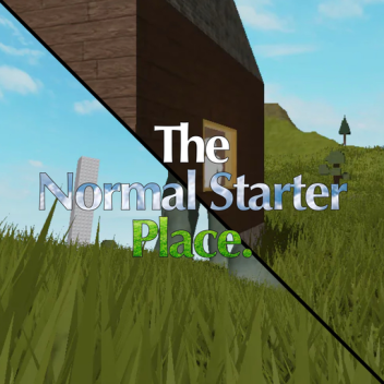 The Regular Starter Place