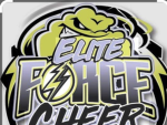 Ellite force