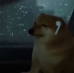 DOGE GAMES AND FUN