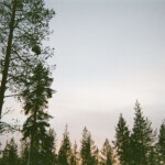 ︵‿︵‿୨♡୧‿︵‿︵ 