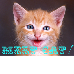 Meat Cat! :D [NEW]