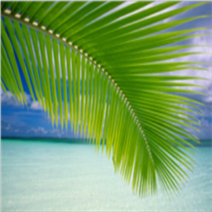 Palm Art Roblox decal