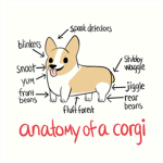 Flipping Corgis