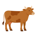 Brown Cow Studios