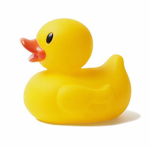 The Cool Duckie Gang