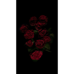 ~Rose~~