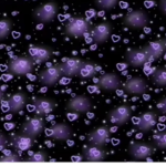 spxx1d