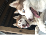 Cool and happy kids