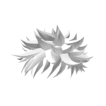 White Fluffy Messy Boy Hair Anime