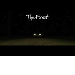 the Midnight forest