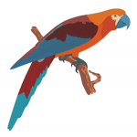 IsolatedParrots