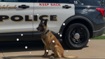Fresno K9 group