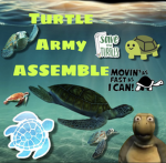 Turtle Army Assemble