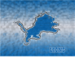Detroit Lions Group