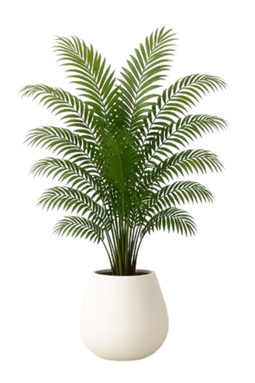 Square Decal