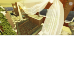Bohemian Breeze