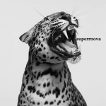 superrnova