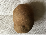 The Yeet/potato group