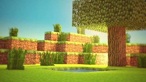 Voxels
