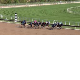 Horse Racing