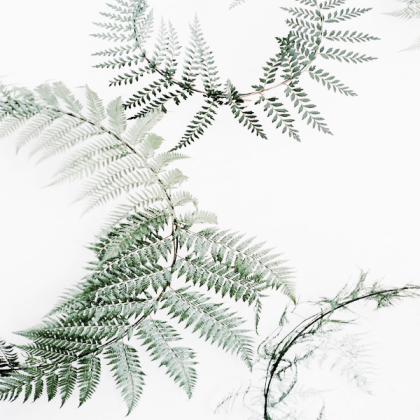 leaves aesthetic Roblox decal