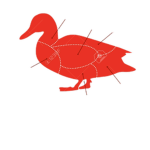 equipo de patos salvajes