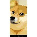Doge boys!
