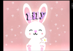 Lily the bunny’s group