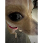 :Dteamoromi
