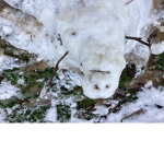 Help this snowman