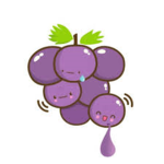 GrapeGroup STUDIOS
