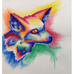 THE RAINBOW FOXES GROUP