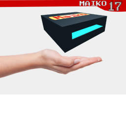 Maiko 17