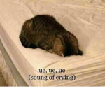 Pusheen_Playz UwU