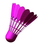 Magenta Badminton Shuttlecock