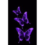 FlowerDripfor fun