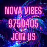 Nova Vibess
