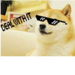Doge bro’s fan club